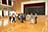 IMG 7334