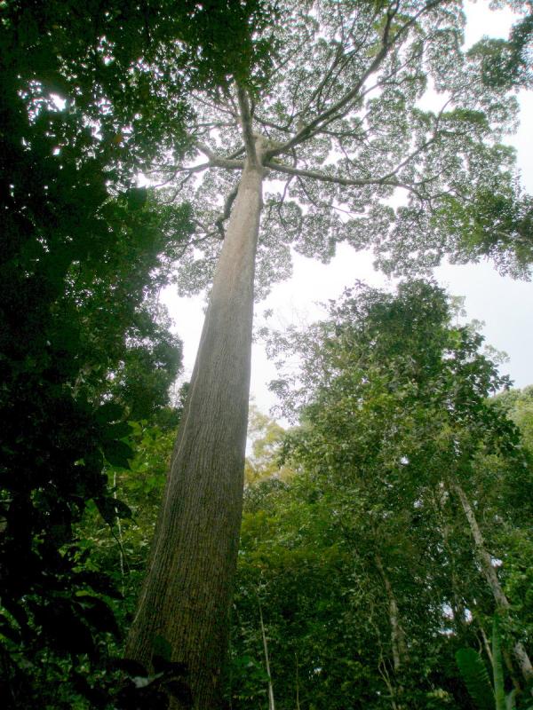 PA250109.JPG