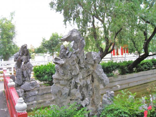 IMG 8736.JPG