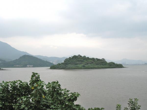 IMG 8744.JPG
