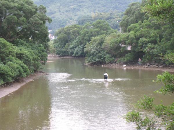 IMG 8745.JPG