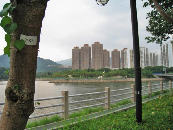 IMG 8747.JPG