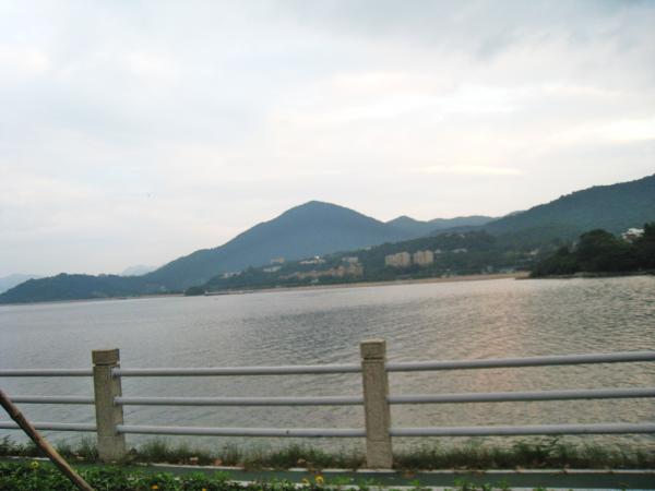 IMG 8751.JPG