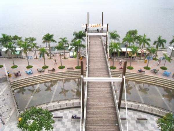 IMG 8762.JPG