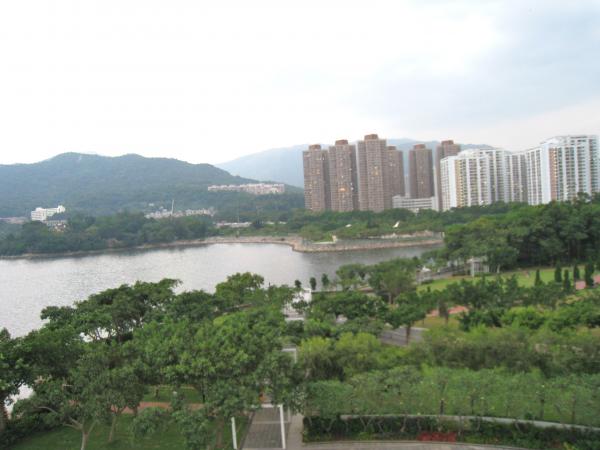 IMG 8763.JPG