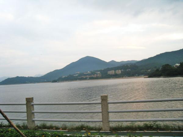 IMG 8751