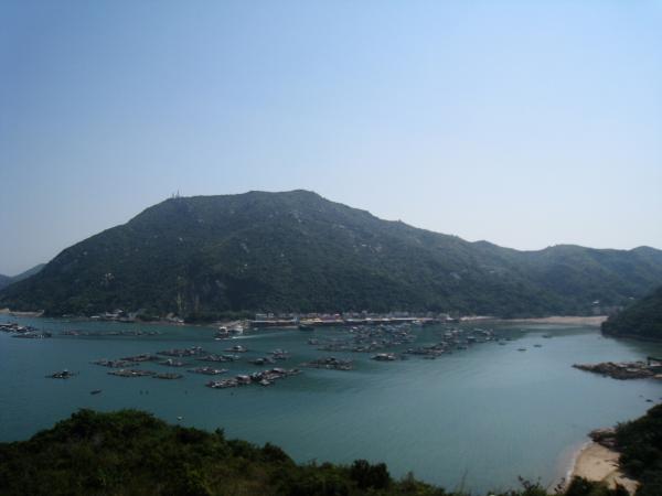 IMG 8874.JPG