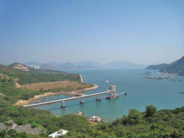 IMG 8875.JPG