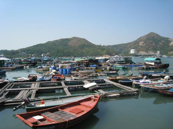 IMG 8883.JPG