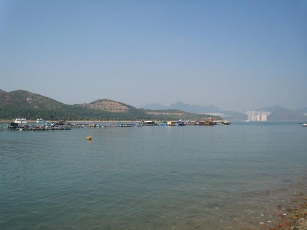 IMG 8896.JPG