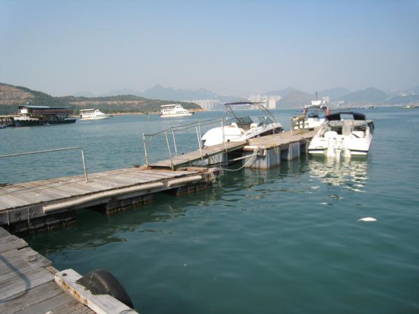 IMG 8918.JPG