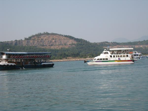 IMG 8919.JPG