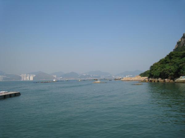 IMG 8922.JPG