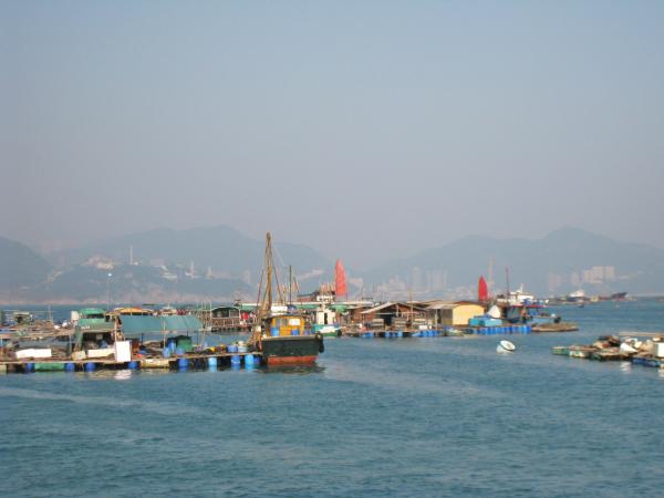 IMG 8927.JPG