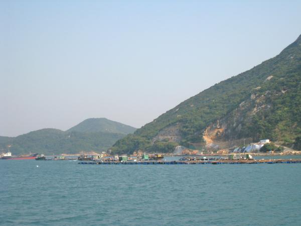 IMG 8931.JPG
