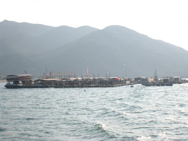 IMG 8932.JPG