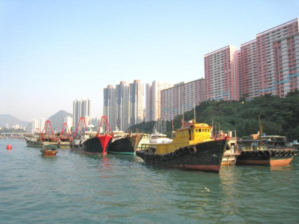 IMG 8934.JPG