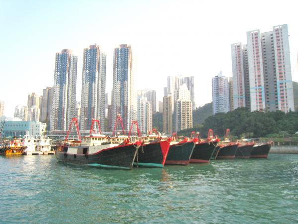 IMG 8936.JPG