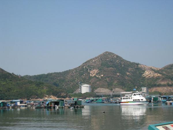IMG 8881