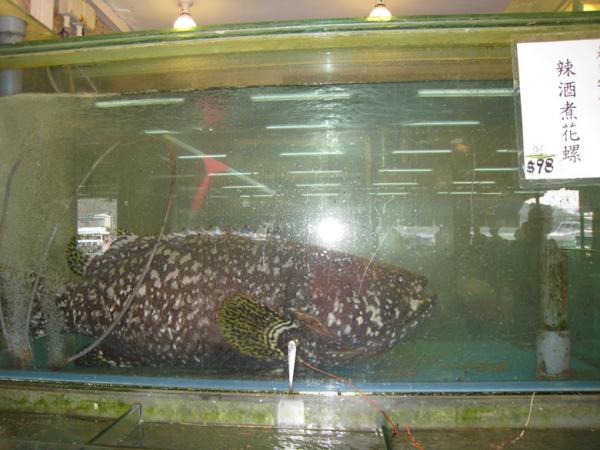 IMG 8888