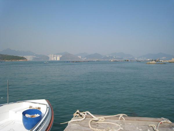 IMG 8920
