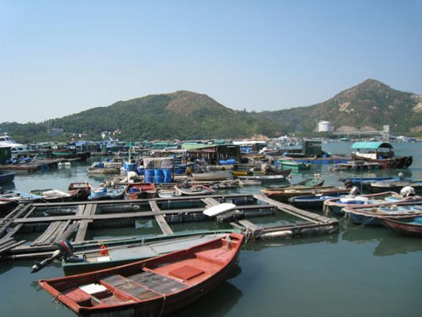 IMG 8883
