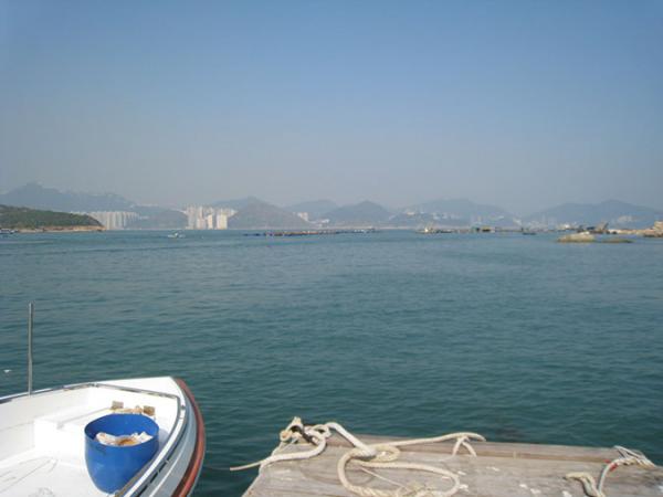IMG 8920