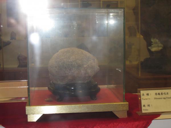 IMG 9200.JPG