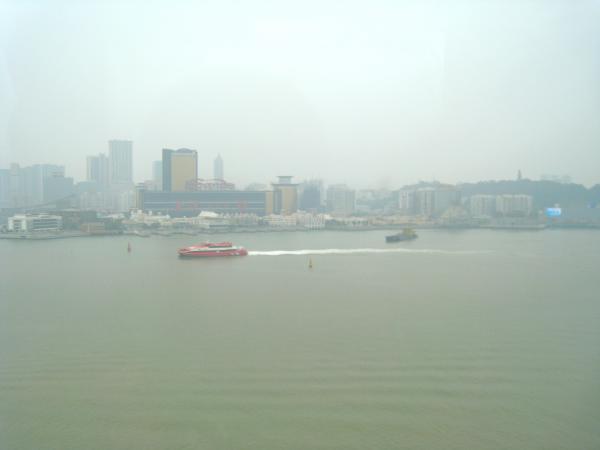 IMG 9264.JPG
