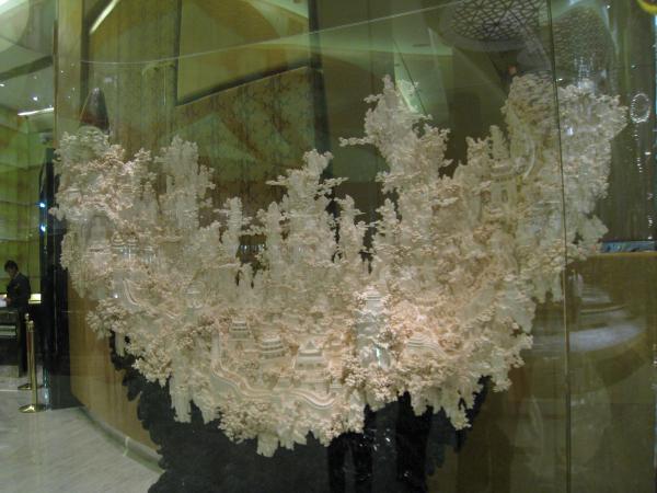 IMG 9356.JPG