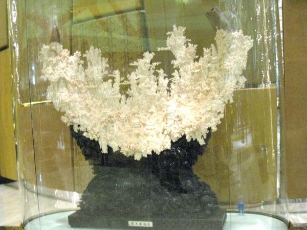IMG 9359.JPG