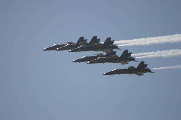 IMG 4253