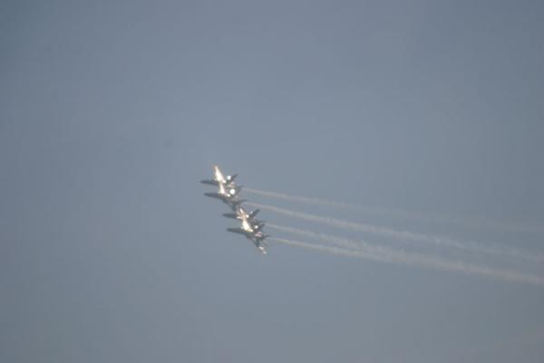 IMG 4296