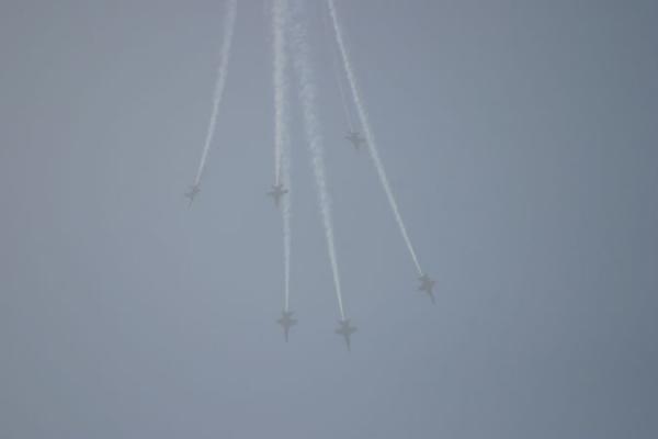 IMG 4325