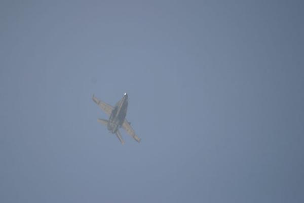 IMG 4347