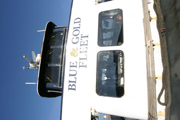 IMG 4031.JPG