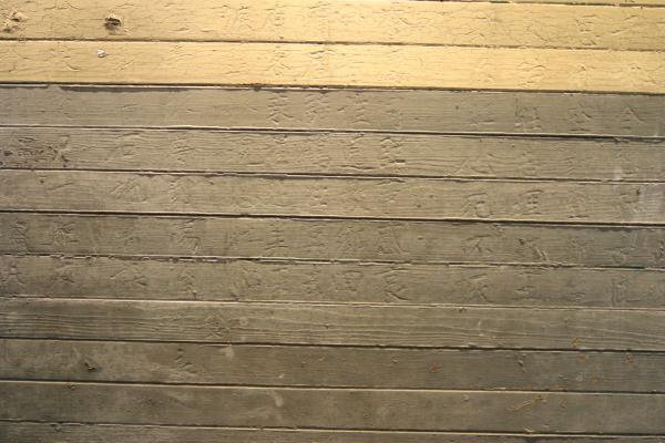 IMG 4147.JPG