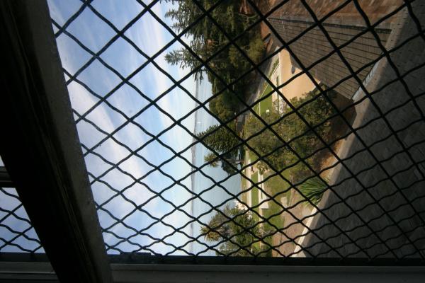 IMG 4151.JPG