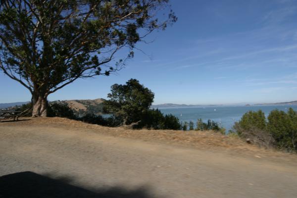 IMG 4179.JPG