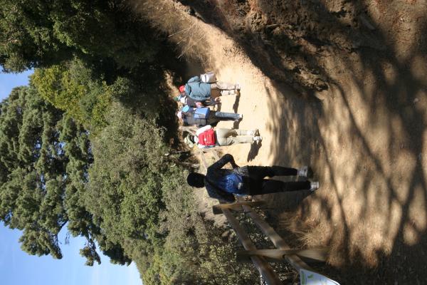IMG 4186.JPG