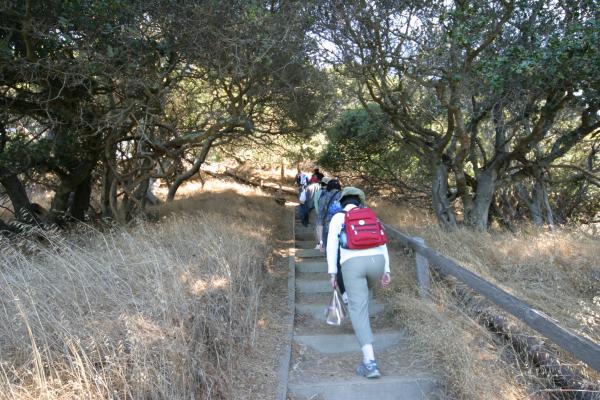 IMG 4190.JPG