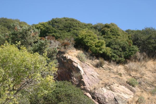 IMG 4244.JPG