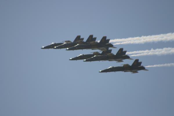 IMG 4253.JPG