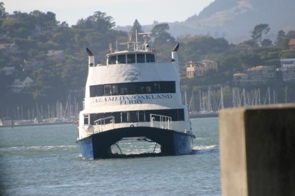 IMG 4259.JPG