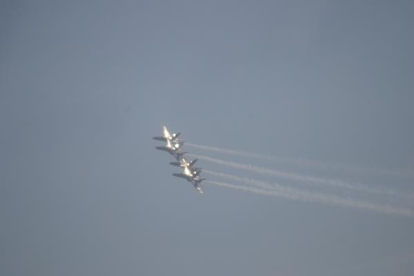 IMG 4296.JPG
