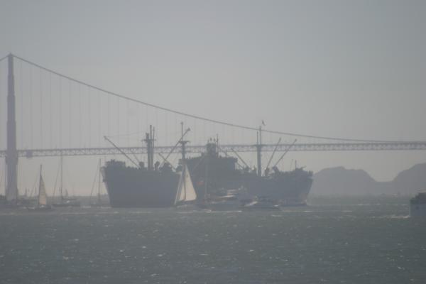 IMG 4338.JPG