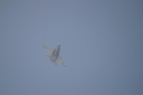IMG 4347.JPG