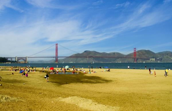 A Nice Day at the beach