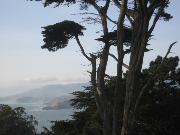 Enjoying the view from the Legion of Honor, San Francisco.JPG