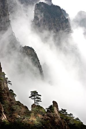 Huangshan tb